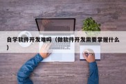 自学软件开发难吗（做软件开发需要掌握什么）